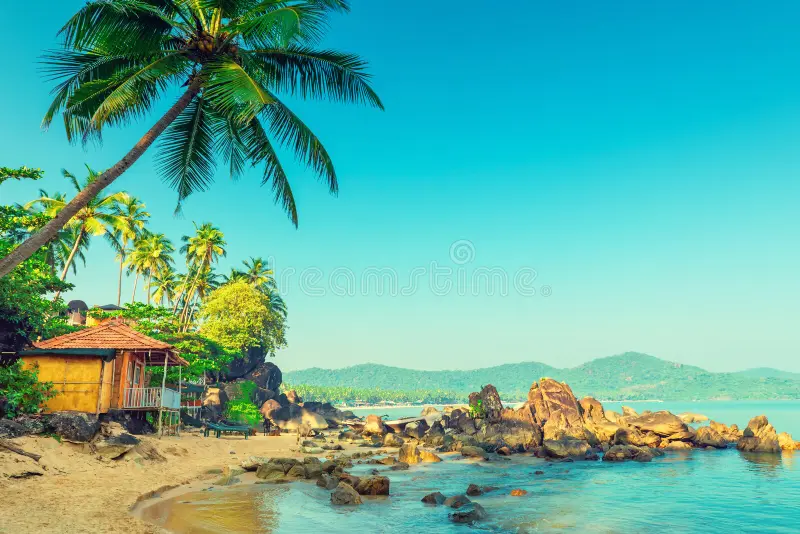 Morning & Afternoon Slots