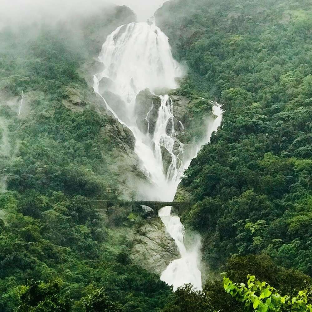 DUDHSAGAR FALLS & SPICE PLANTATION