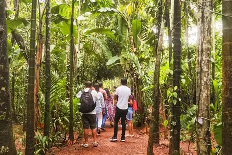 Spice Plantation Tour
